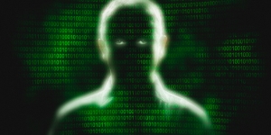 বাগ বাউন্টি হান্টিং ফর বিগিনার